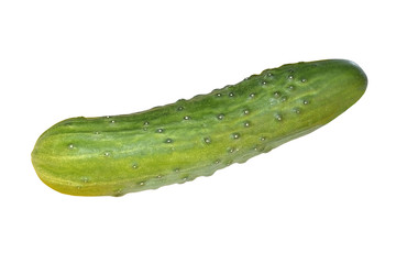 Green cucumber isolated on white background