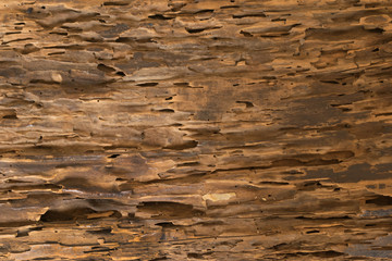 Fototapeta premium Madera agrietada colores marrón y ocres