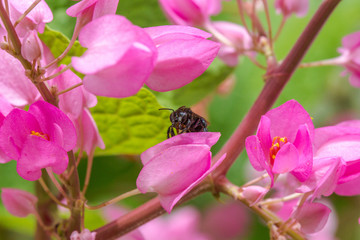 Mundo macro