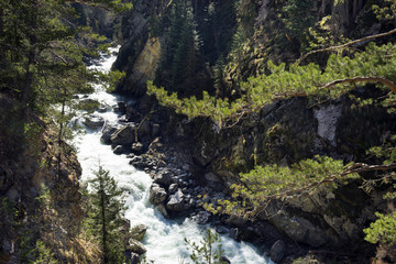 Naklejka na ściany i meble mountain river among rocks and trees