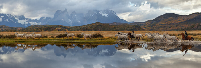 Chilenische Gauchos und Pferdeherde, malerisches Panorama. Nationalpark Torres del Paine, Patagonien, Chile