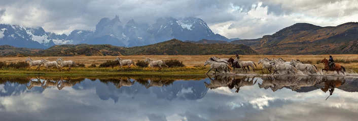Foto op Plexiglas Hal Chileense gauchos en kudde paarden, schilderachtig panorama. Nationaal park Torres del Paine, Patagonië, Chili