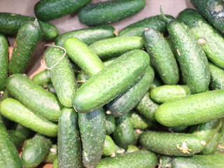 cucumbers in a box in a store