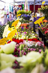 Flower market 