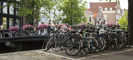Amsterdam Bikes 