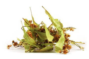 Dry lime (Tilia .sp) flowers isolated on white.