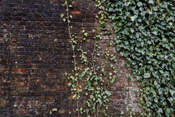 Brick wall with grungy weathered surface and copy space