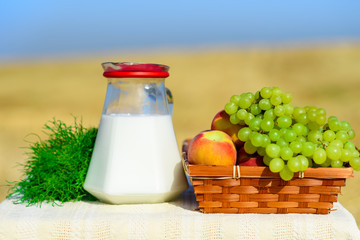 First fruits (habikkurim) and milk on rustic linen tablecloth. Symbols of jewish holiday - Shavuot. Grapes and peaches on basket outdoor. Wheat field and blue sky background.Happy moments, sunny day.