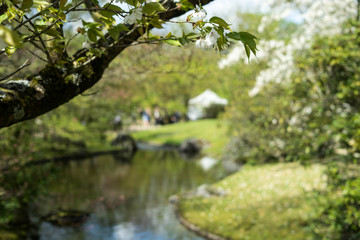 Japanese garden in Hasselt, Belgium