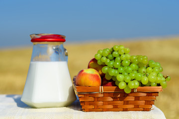 First fruits (habikkurim) and milk on rustic linen tablecloth. Symbols of jewish holiday - Shavuot. Grapes and peaches on basket outdoor. Wheat field and blue sky background.Happy moments, sunny day.