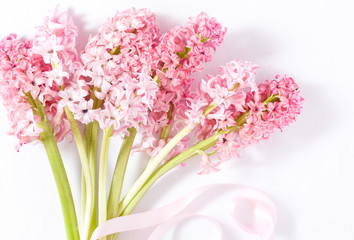 Bouquet of Pink Hyacinth Flowers on White Background Shot From Above
