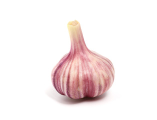 Garlic isolated on white background