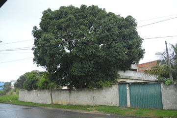 beira de estrada