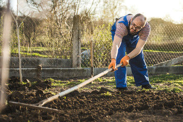 Farmer working in the garden with the help of a rake leveling plowed land, on a sunny day