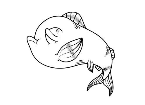Cartoon style fish drawing in black and white. Vector Illustration