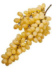 Sweet light grapes isolated on white background - fruit food.