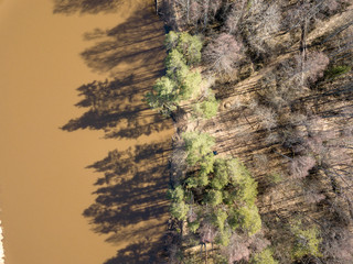 drone image. aerial view of forest river in spring. Gauja, Latvia