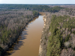 Fototapeta na wymiar drone image. aerial view of forest river in spring. Gauja, Latvia