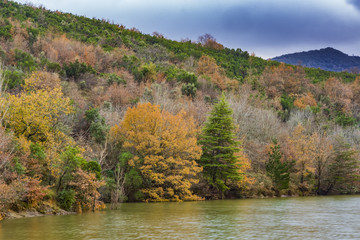 autumn forest by the lake