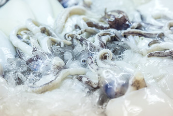 Seafood at the market