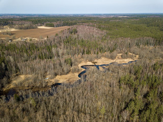 drone image. aerial view of endless forests