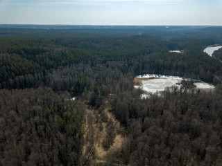 drone image. aerial view of endless forests