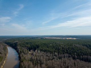drone image. aerial view of forest river in spring. Gauja, Latvia
