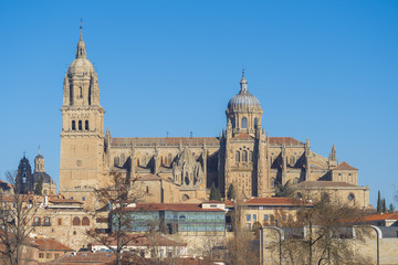 Fototapeta na wymiar cathedral of Salamanca next to the river