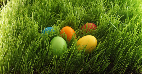 eggs Easter eggs hidden in green grass