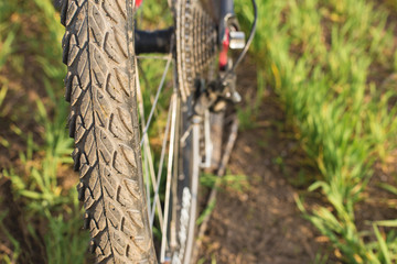 Close-up on a bicycle at the back, Mountain Bike Protector	