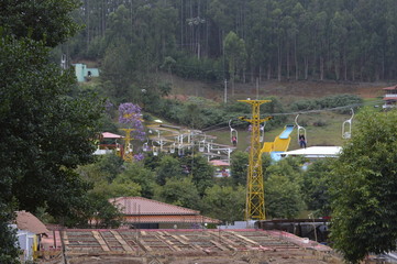 verde na estrada 