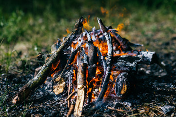 Burning firewood in outdoor summer camp on green abstract background. Travel and tourism. Nature leisure rest. Wood in flame. Lifestyle cozy place for dinner preparation. Smoldering coals and ash.