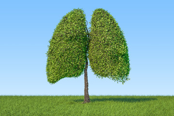 Eco concept. Tree in the shape of lungs on the green grass against blue sky, 3D rendering