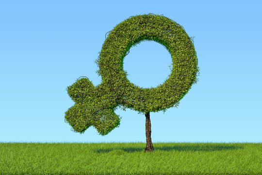 Tree shaped as female gender symbol on the green grass against blue sky, 3D rendering
