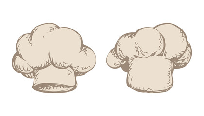 Hat cook. Vector drawing