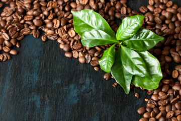 Roasted coffee beans with green leaves