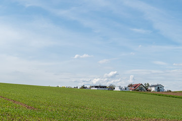 Neubauten am Ortsrand