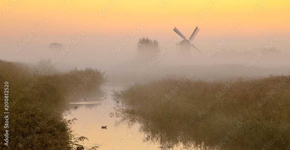 Wall mural Windmill in wetland