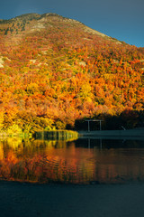 Fototapeta na wymiar golden autumn landscape view near the lake and mountain