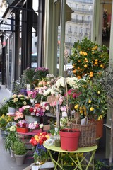 Fototapeta na wymiar magasin de fleurs,, paris