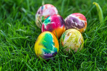 Easter eggs in grass.
