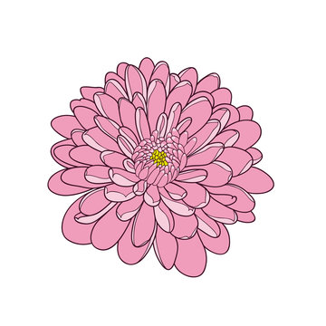 Abstract hand-drawn monochrome  flower chrysanthemum. Element for design.