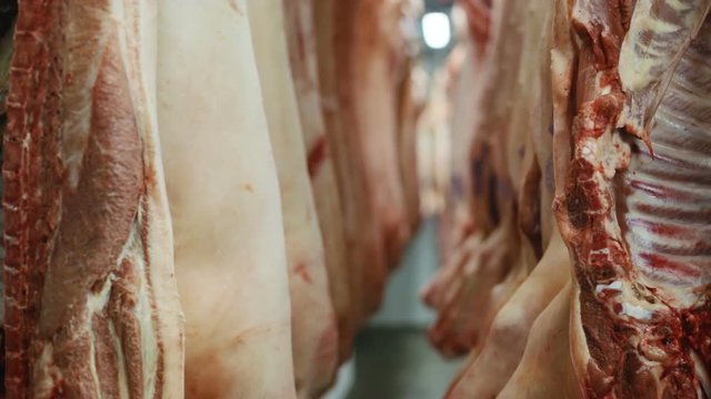 concept of killing domestic animals human cruelty against nature murder human killed animals by butcher hanging pigs pork meat slaughterhouse death blood food business bodies of dead animals nobody