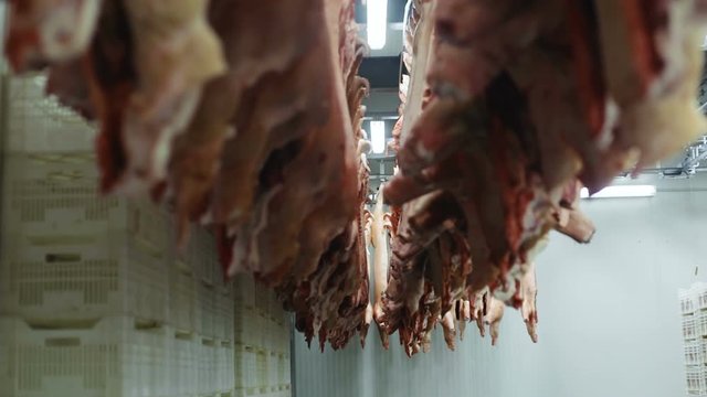 many chopped fresh raw pork meat hanging on hooks in slaughterhouse view from below refrigerator meat factory slaughtering kill animals for food killed swine butchery butchered pigs beheaded swine