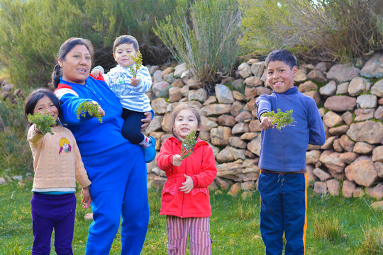 Happy native american family showing typical peruvian plant called tipollo.