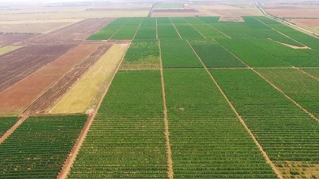 Plenty of broken plots of land with greenery