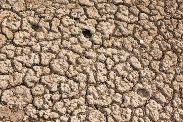 archaeological excavations, remains of the settlement, the scythians fossils	