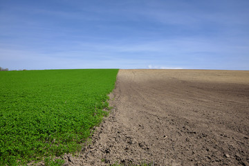Half plowed field with green and brown parts