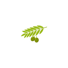 Tasty organic green olives isolated on white background