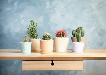 Beautiful cacti on table against color wall